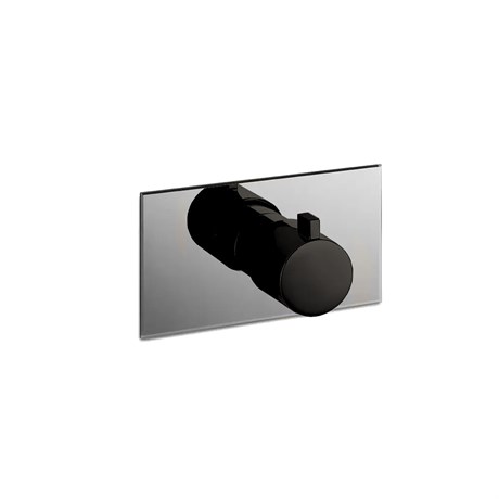 RU401AXX AQUAelite SPA Home внешняя часть встроенного запорного вентиля RU401AXX - фото 40378